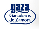 Logo de Gaza